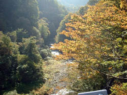 大山滝